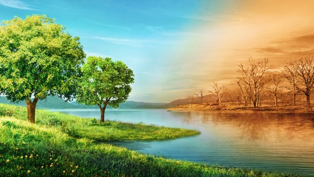 性質の変化と善良な振る舞いの違いは何か。