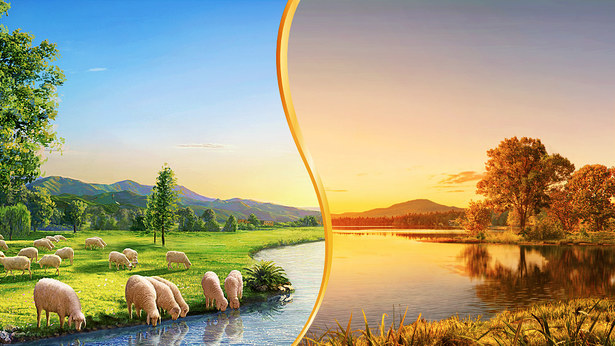 神は誰を救うのか。誰を淘汰するのか