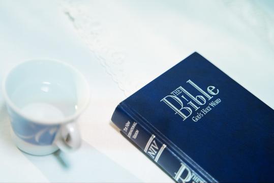 ぶどう園の労働者のたとえ